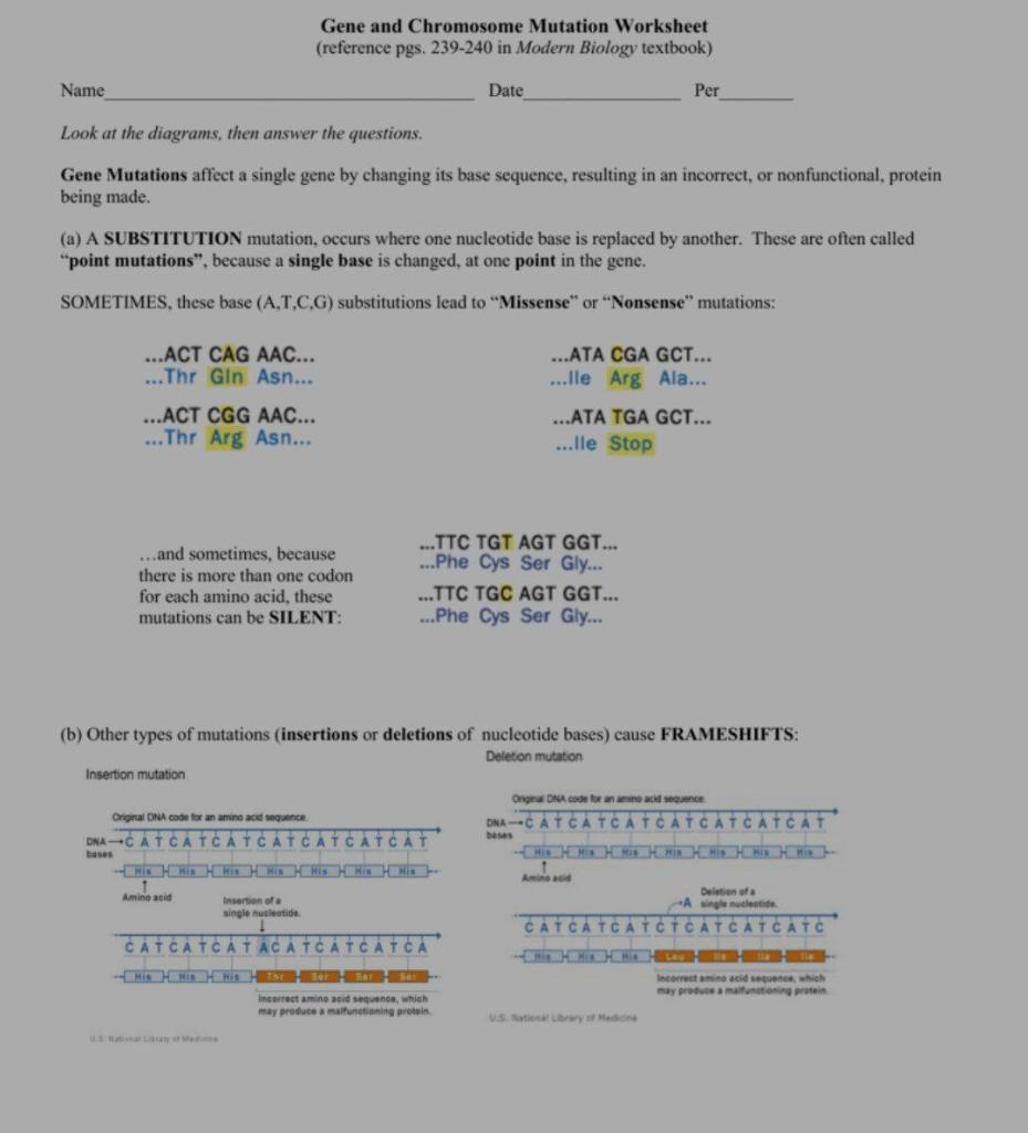 Gene and Chromosome Mutation Worksheet (reference | Chegg.com