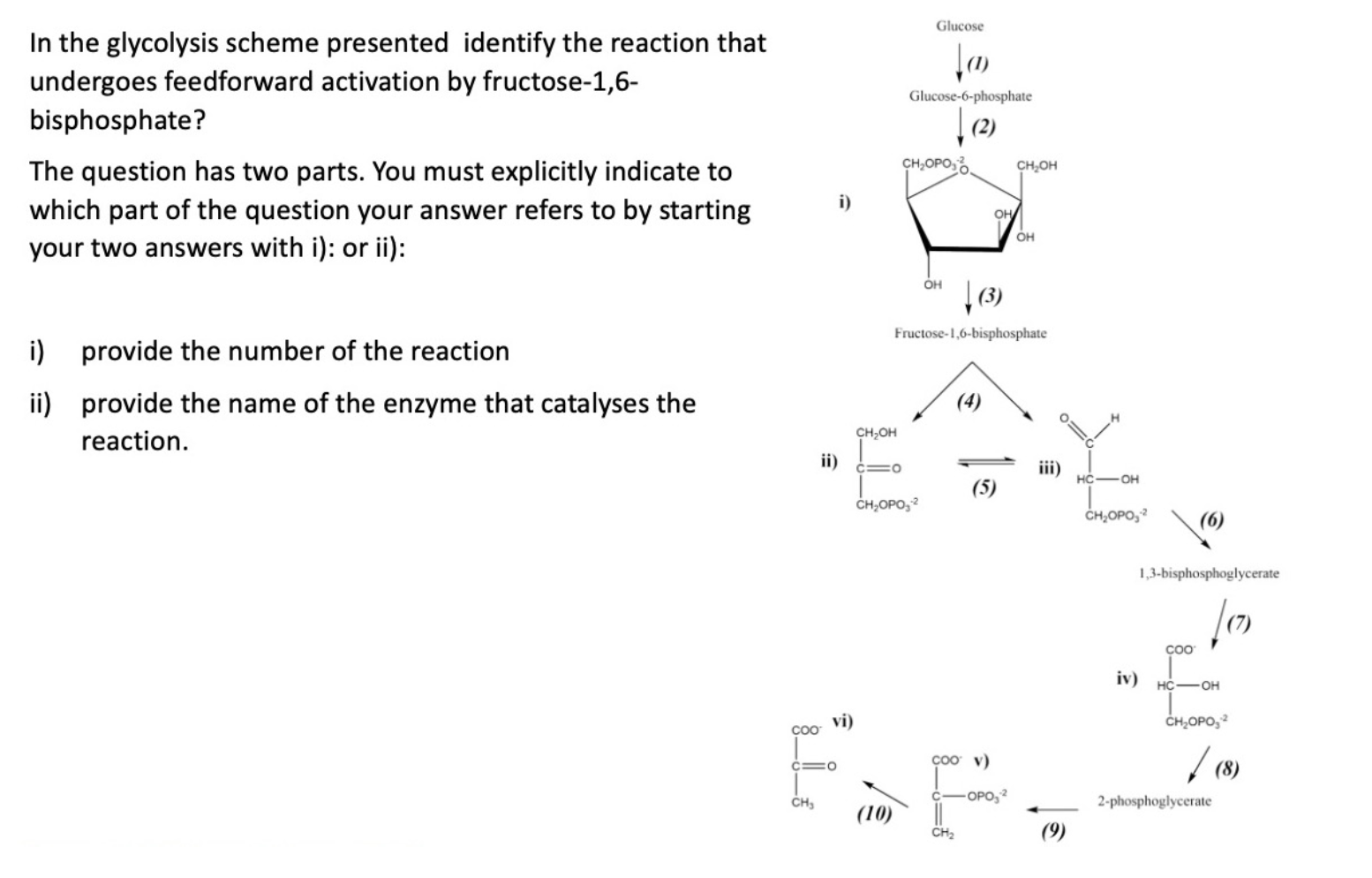 Solved In the glycolysis scheme presented identify the