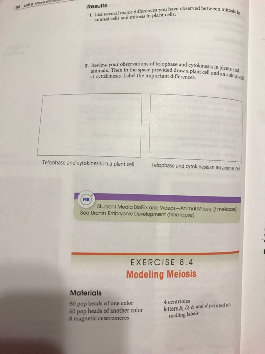Solved 1. List several major differences you have observed | Chegg.com