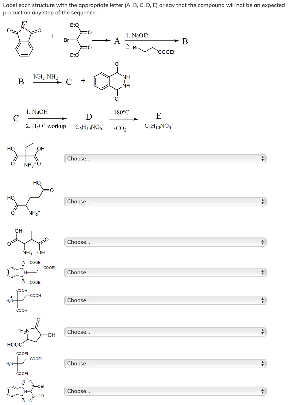 Solved Label each structure with the appropriate letter (A, | Chegg.com