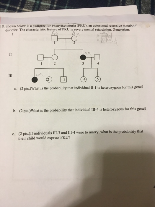 Solved Shown below is a pedigree for Phenylketonuria (PKU),
