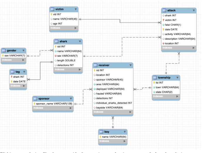 Solved The database contains nine tables: shark, tag, | Chegg.com