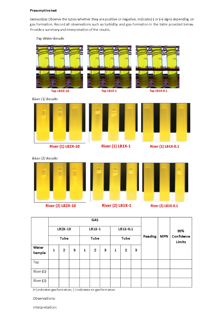 Solved Presumptive test Instruction: Observe the tubes | Chegg.com