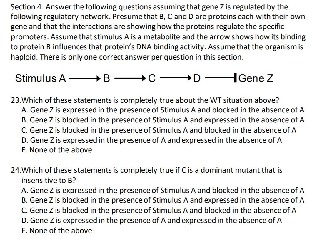 Solved Section 4. Answer The Following Questions Assuming | Chegg.com