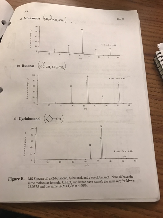 Solved Label the base peak and parent peak and describe how