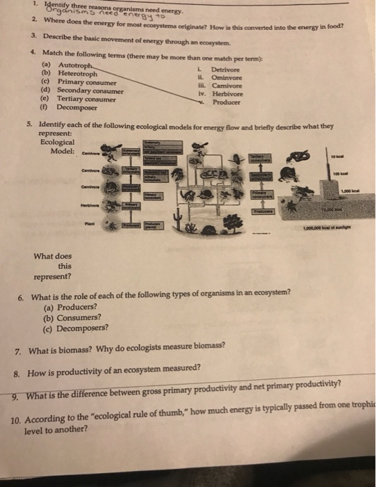 solved-1-identify-three-reasons-organisms-need-energy-2-chegg