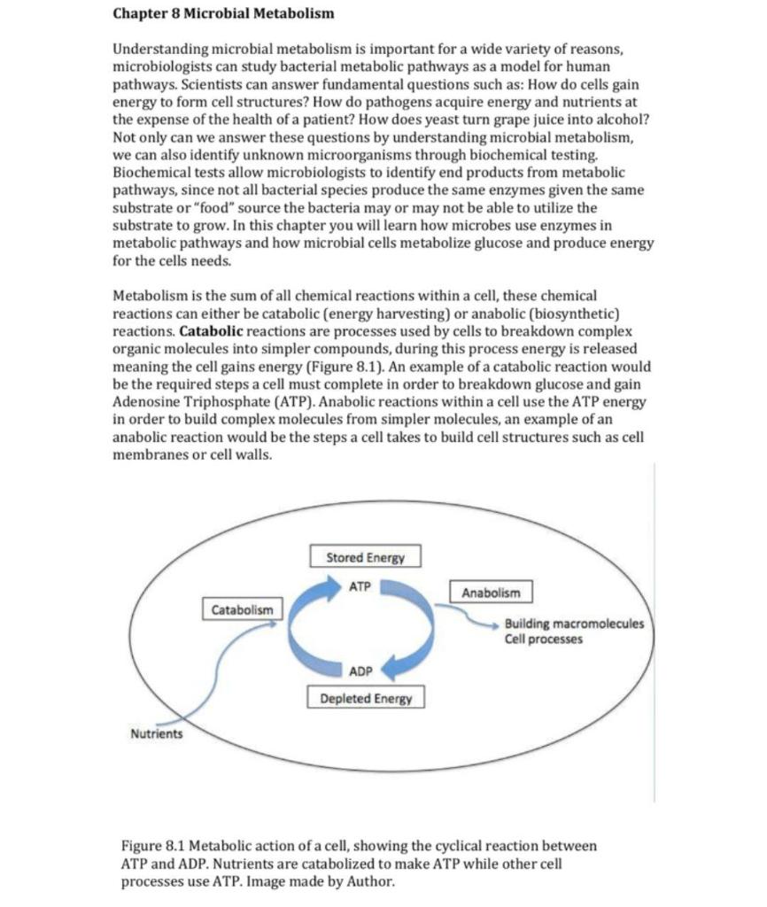 Chapter 8 Microbial Metabolism Understanding | Chegg.com