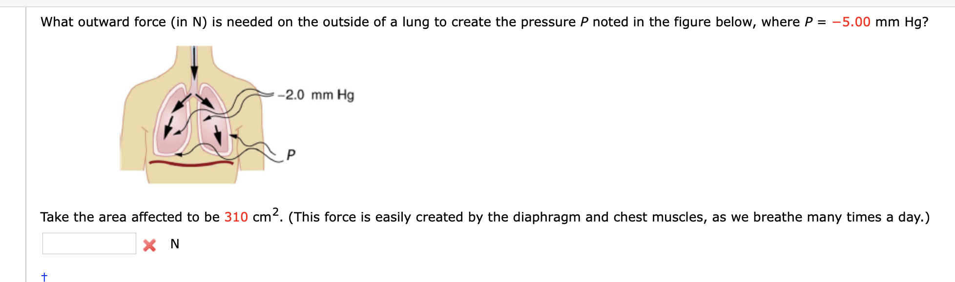 Solved What outward force (in N) is needed on the outside of | Chegg.com