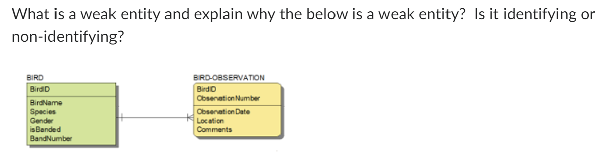 Solved What is a weak entity and explain why the below is a | Chegg.com
