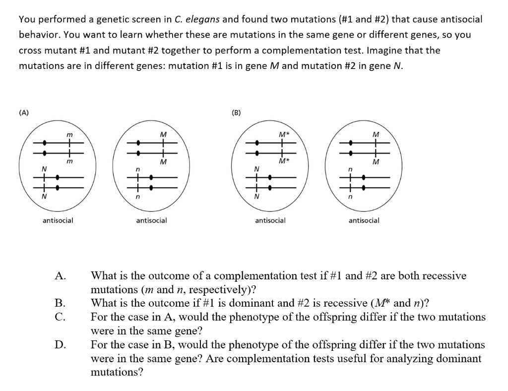 Solved You performed a genetic screen in C. elegans and | Chegg.com