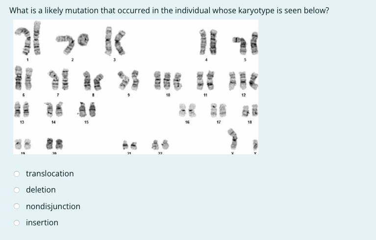 Solved What is a likely mutation that occurred in the | Chegg.com