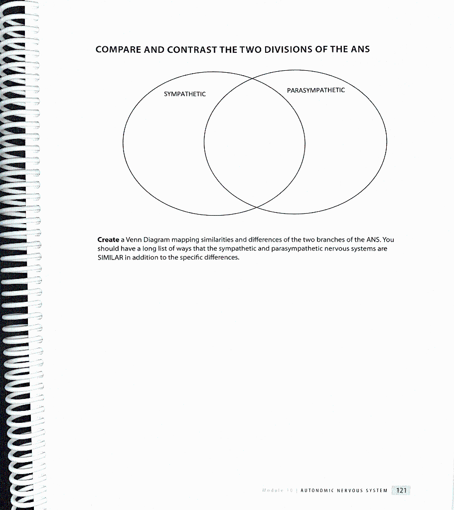 parasympathetic and sympathetic nervous system differences