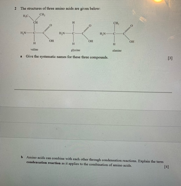 Solved If 3tacctgatg5 Codes For Amino Acids And The Or Cheggcom