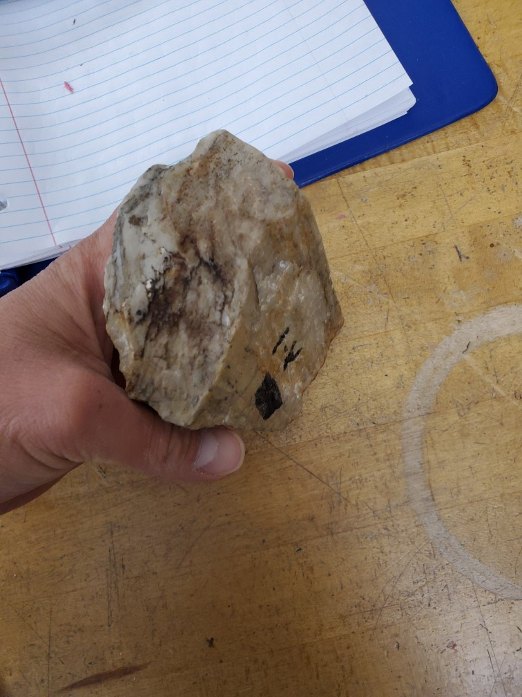 Solved 2. Sample A1 is a quartzite, the metamorphic