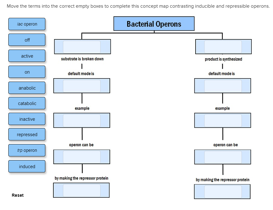 Solved Move the terms into the correct empty boxes to | Chegg.com