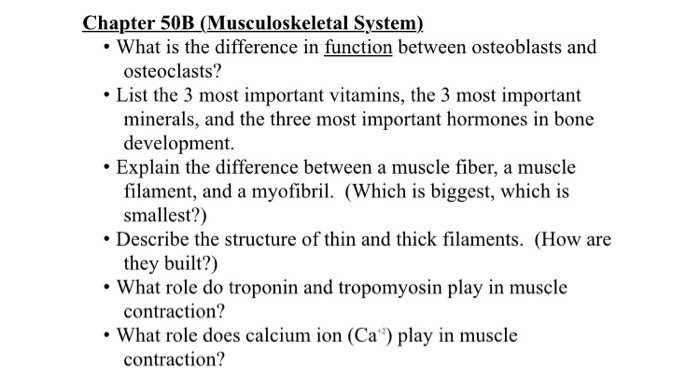 Solved Chapter 50B (Musculoskeletal System What Is The | Chegg.com