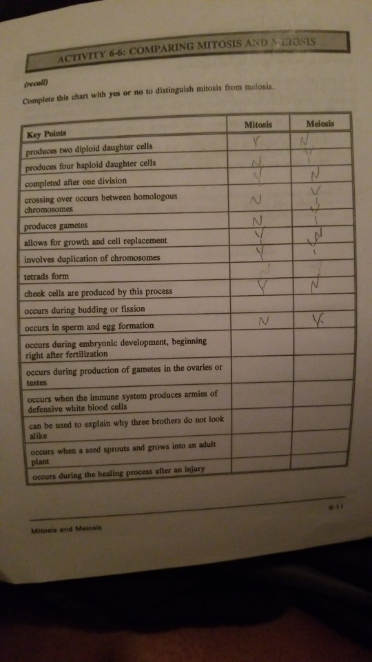Solved ACTIVITY 6-6: COMPARING MITOSIS AND MEIOSIS (recall) | Chegg.com