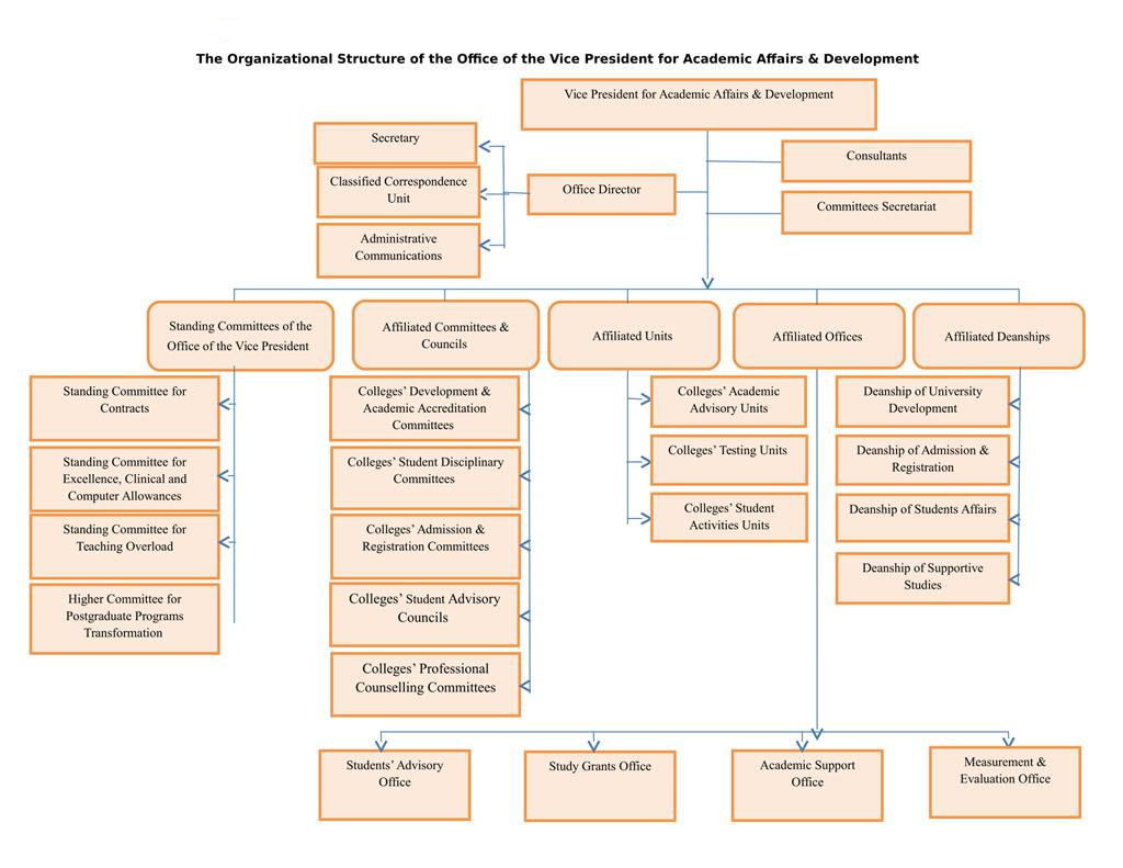 The Office Organizational Structure – EHHCSE