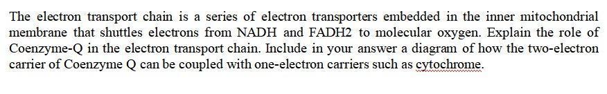 Solved The electron transport chain is a series of electron | Chegg.com