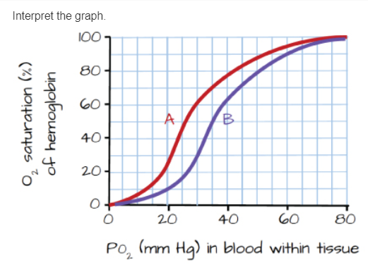 Solved Interpret The Graph 100 80 60- А Of Hemoglobin B O2 | Chegg.com