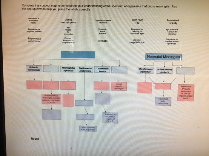 Solved Complete This Concept Map To Demonstrate Your