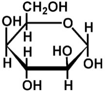 Solved ] use this illustration of the structure of a | Chegg.com