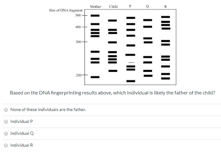 Solved In Order To Determine The Cause Of Death In Several | Chegg.com