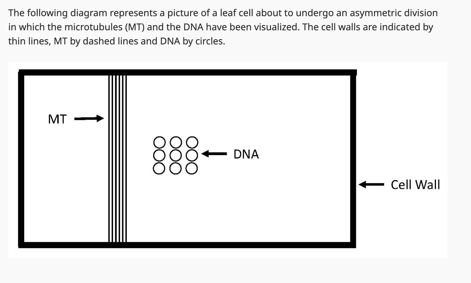 Solved QUESTION IS ﻿HERE: Assume the cell shown above has | Chegg.com