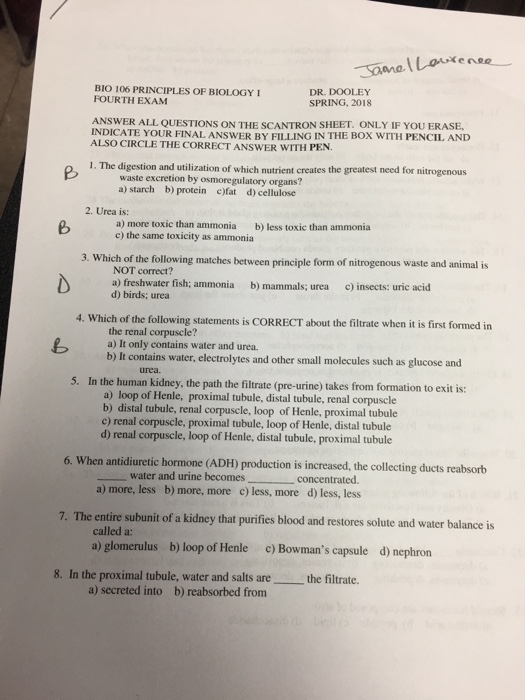 Solved BIO 106 PRINCIPLES OF BIOLOGY I FOURTH EXAM DR. DO&hellip;