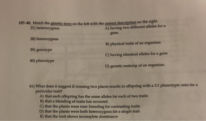 Physical Traits Of An Organism