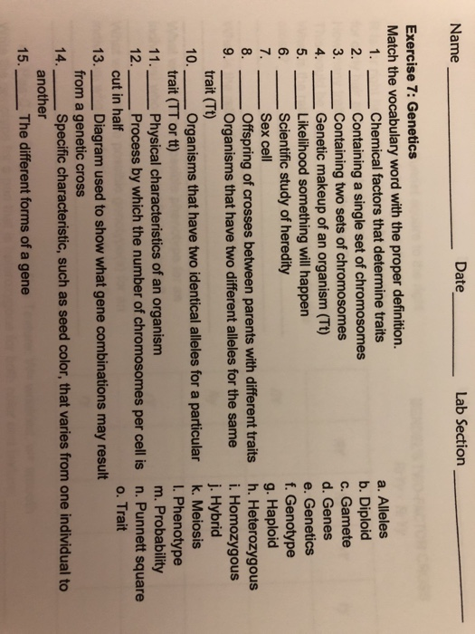 Solved Name Date Lab Section Exercise 7: Genetics Match the | Chegg.com