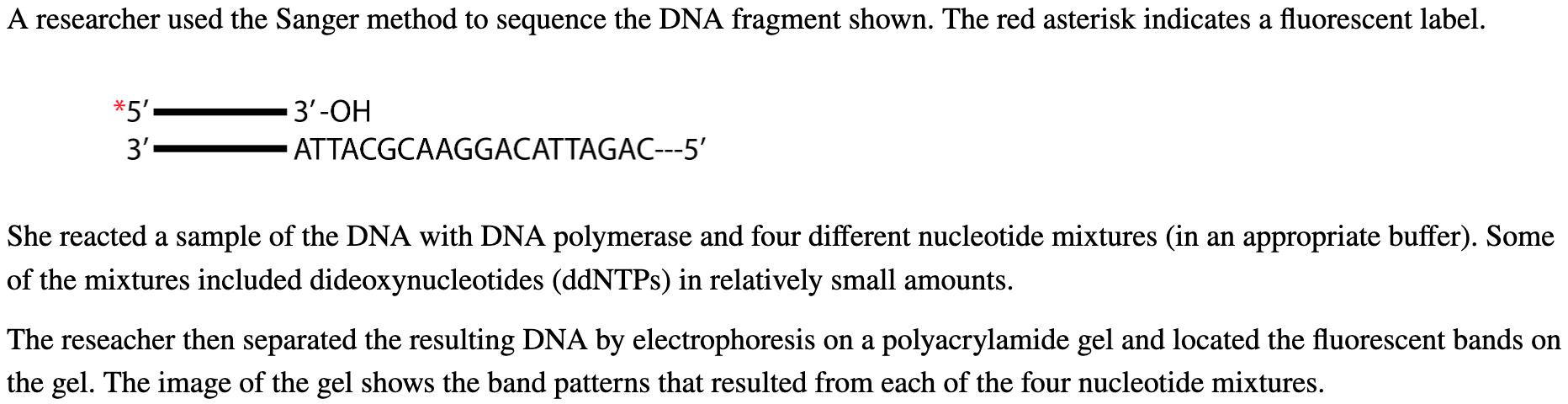 She reacted a sample of the DNA with DNA polymerase and four different nucleotide mixtures (in an appropriate buffer). Some o