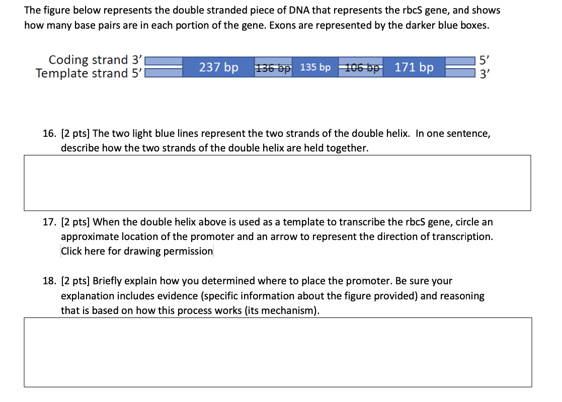 Solved The figure below represents the double stranded piece | Chegg.com