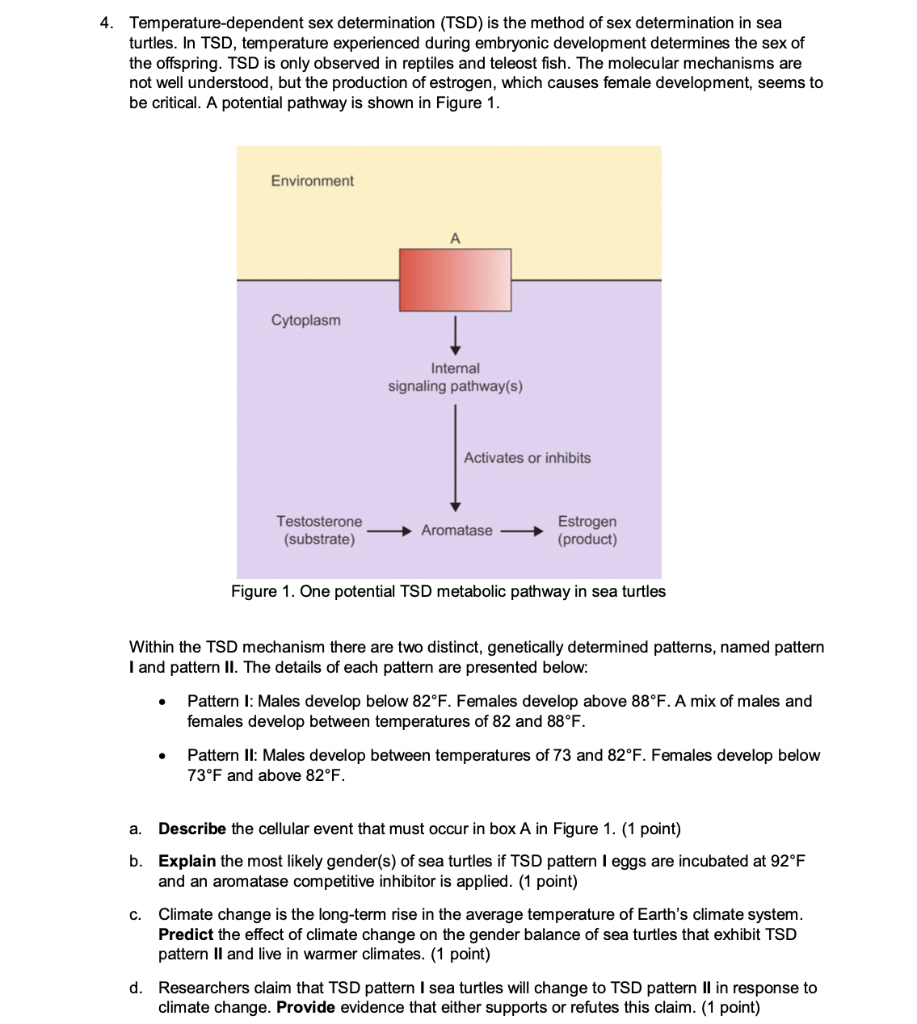 4. Temperature-dependent Sex Determination (TSD) Is | Chegg.com