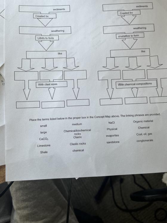 Solved Puwas Then Tarme Listed Below In The Proper Box In 