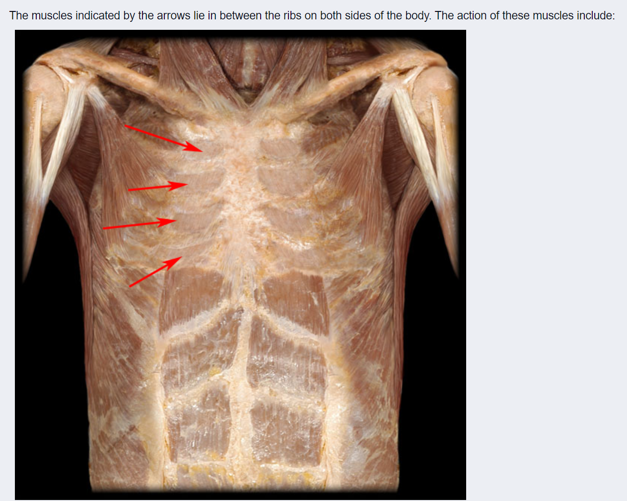 Solved Please help answer all the following please!! 1) The | Chegg.com