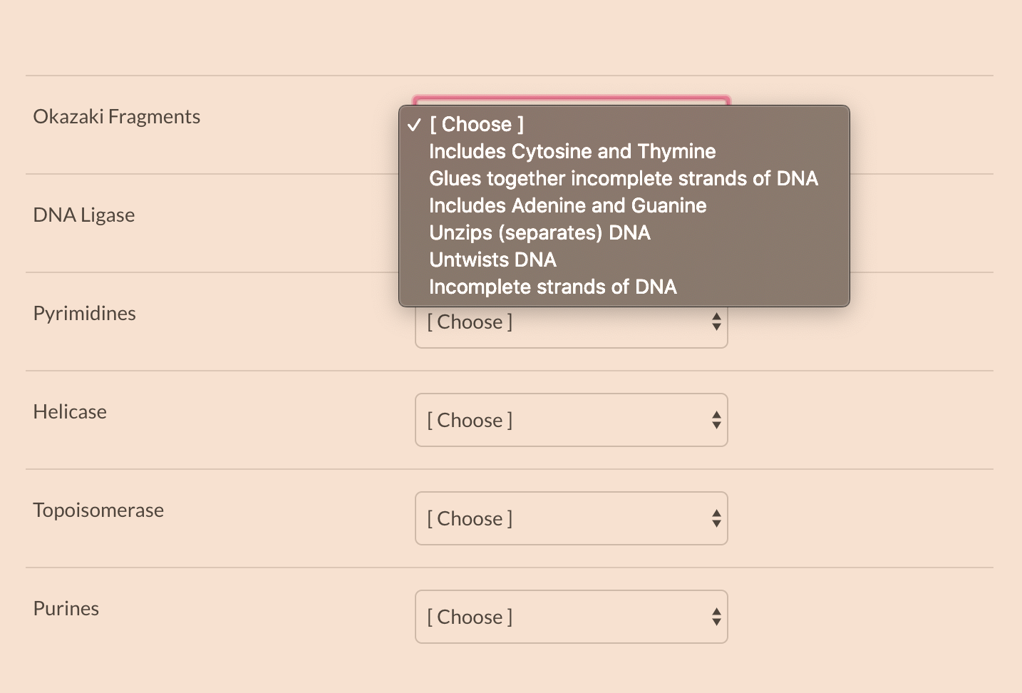Solved Okazaki Fragments DNA Ligase [Choose ] Includes | Chegg.com