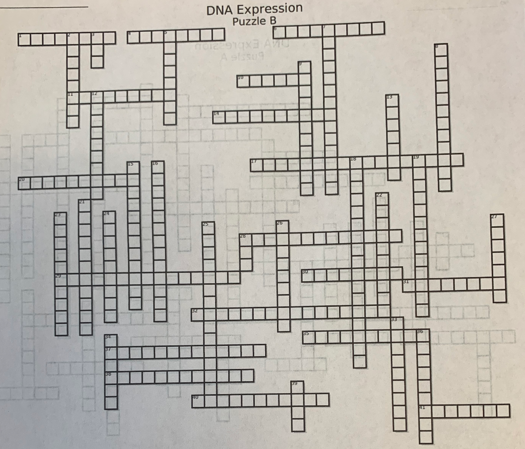 Solved DNA Crossword puzzle Please answer ALL Questions for Chegg com