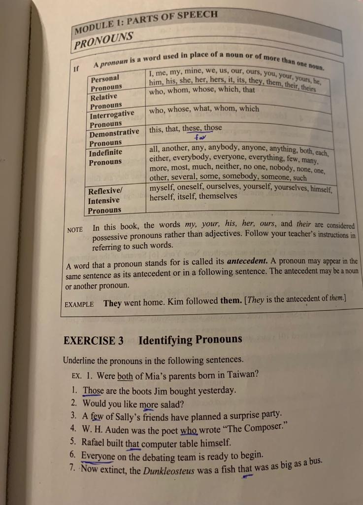 Module 1 Parts Of Speech Pronouns A Pronoun Is A Chegg Com