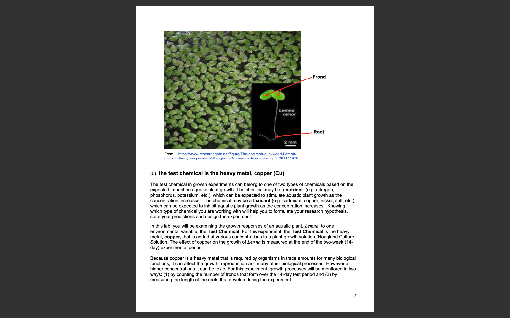 Solved BIOL 1000 - Fall 2022 - Lab Report BACKGROUND | Chegg.com