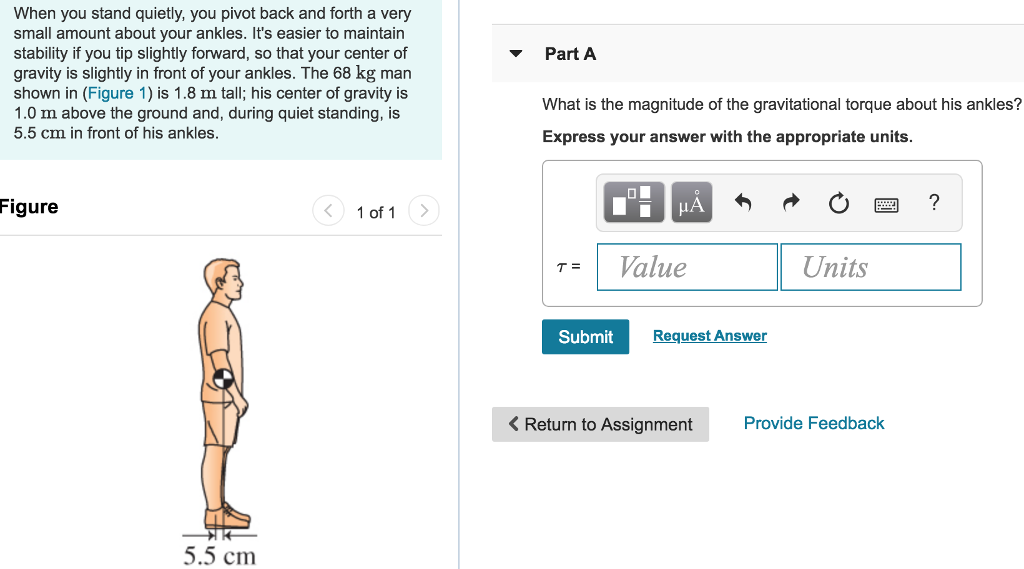 Solved When you stand quietly, you pivot back and forth a | Chegg.com