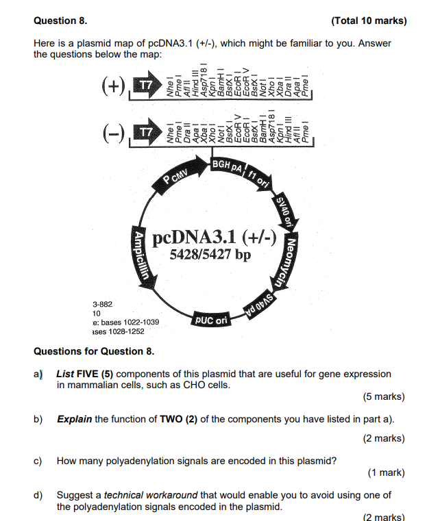 Solved Question 8 (Total 10 marks) Here is a plasmid map of | Chegg.com