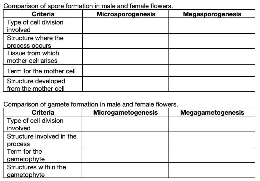 megasporogenesis and microsporogenesis