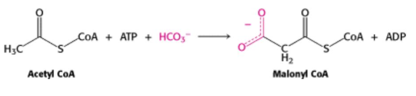 Solved For the following reaction, what cofactor is required | Chegg.com