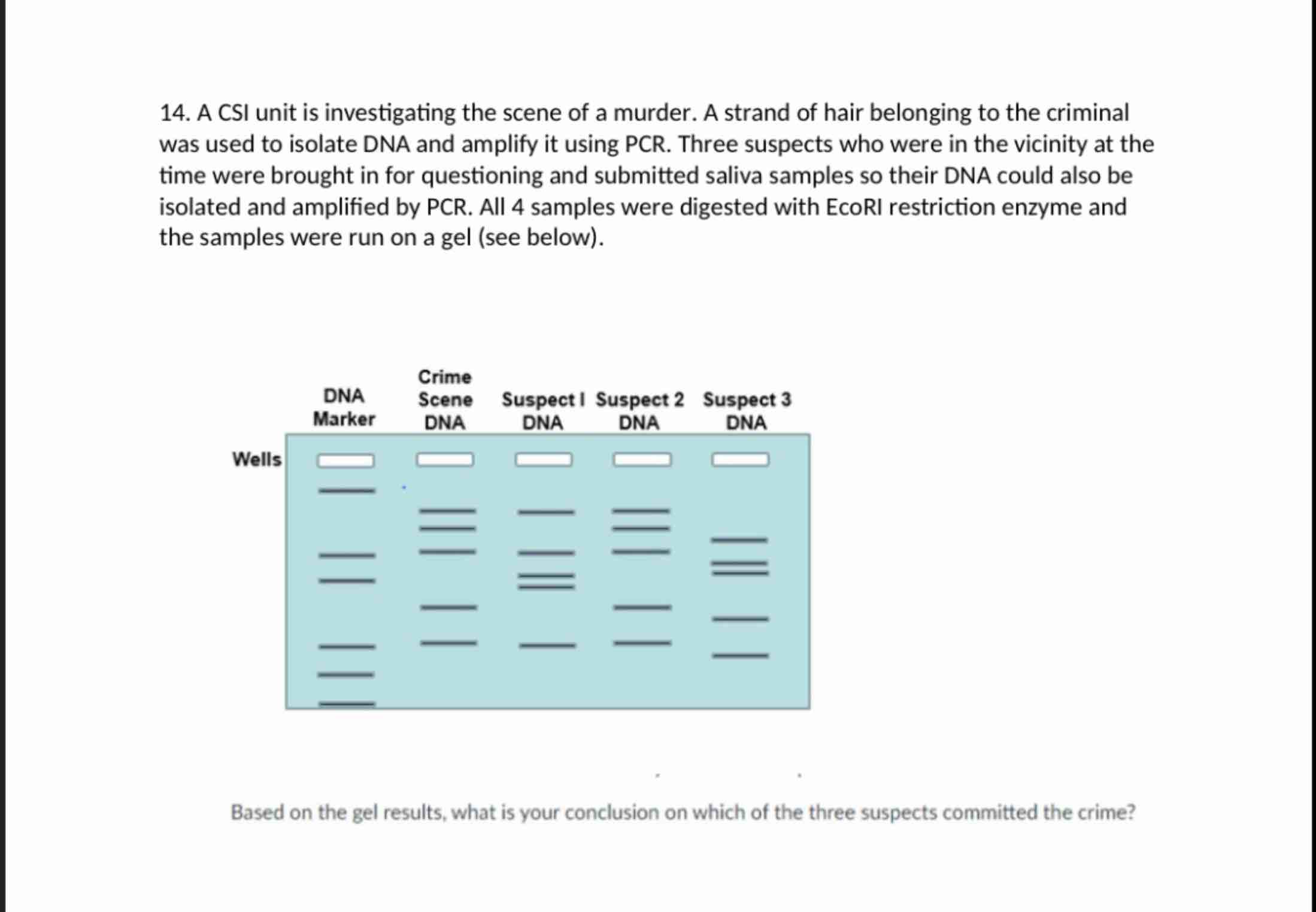 Solved 14. ﻿A CSI unit is investigating the scene of a | Chegg.com