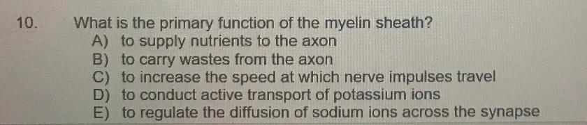 Solved 10. What is the primary function of the myelin | Chegg.com