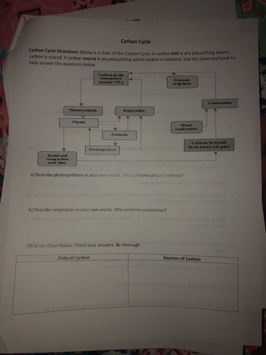 Solved Carbon Cycle Carbon Cycle Directions: Below is a | Chegg.com
