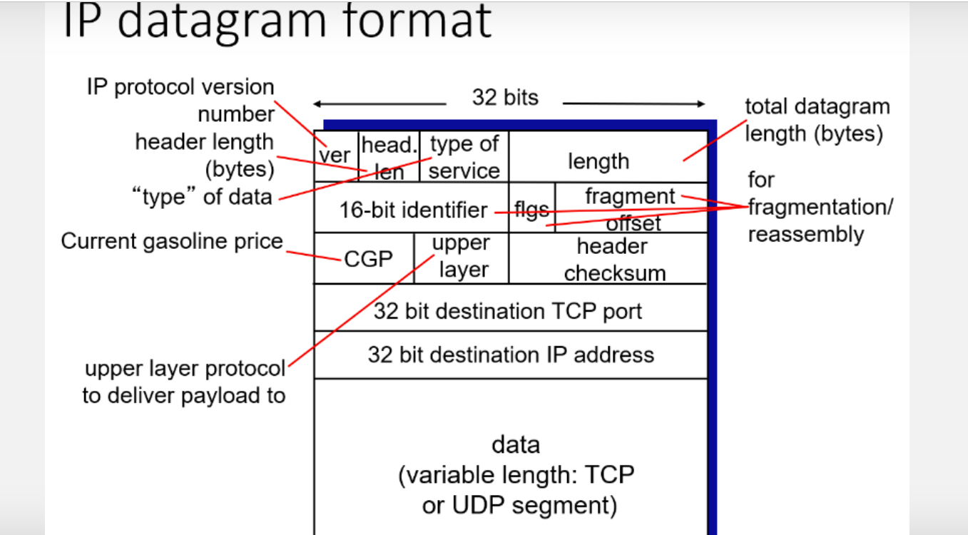 Solved Here is an image displaying IP datagram structure | Chegg.com