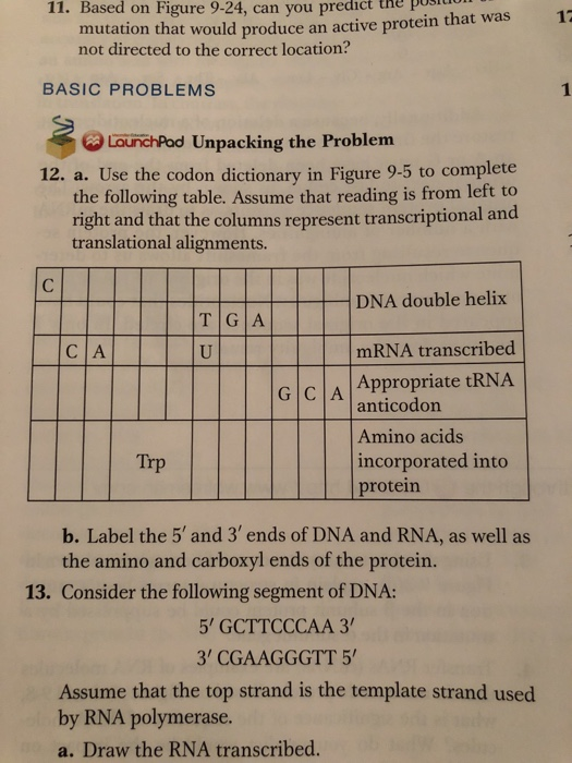 Solved 9.3 tRNA The Adapter 329 The code Second