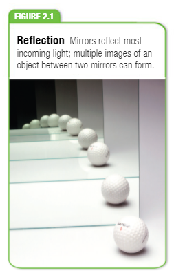 Solved The photograph in Figure 2.1 shows multiple images | Chegg.com